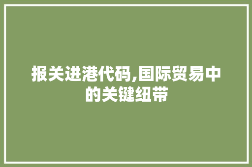 报关进港代码,国际贸易中的关键纽带 CSS