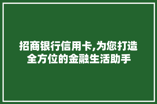 招商银行信用卡,为您打造全方位的金融生活助手 Java