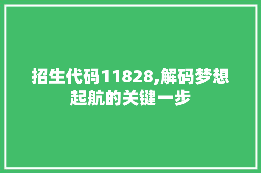 招生代码11828,解码梦想起航的关键一步 Vue.js