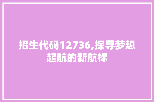 招生代码12736,探寻梦想起航的新航标 Angular