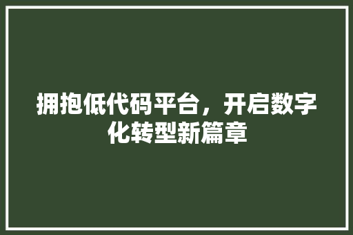 拥抱低代码平台，开启数字化转型新篇章