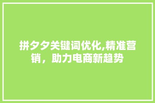 拼夕夕关键词优化,精准营销，助力电商新趋势