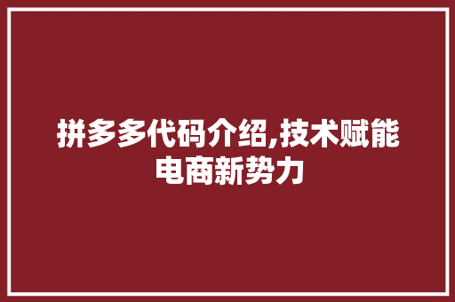 拼多多代码介绍,技术赋能电商新势力