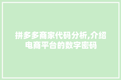 拼多多商家代码分析,介绍电商平台的数字密码