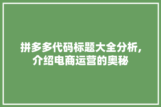 拼多多代码标题大全分析,介绍电商运营的奥秘