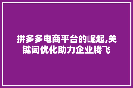 拼多多电商平台的崛起,关键词优化助力企业腾飞