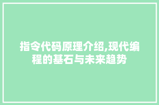 指令代码原理介绍,现代编程的基石与未来趋势