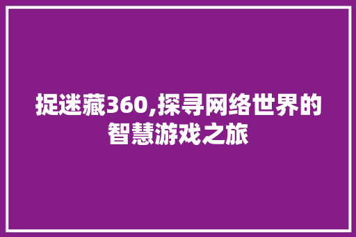 捉迷藏360,探寻网络世界的智慧游戏之旅