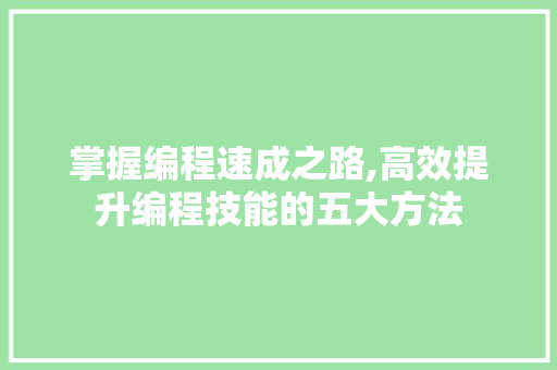 掌握编程速成之路,高效提升编程技能的五大方法