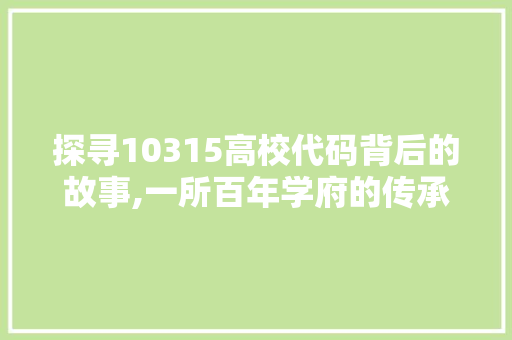 探寻10315高校代码背后的故事,一所百年学府的传承与创新