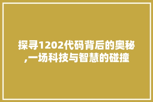 探寻1202代码背后的奥秘,一场科技与智慧的碰撞