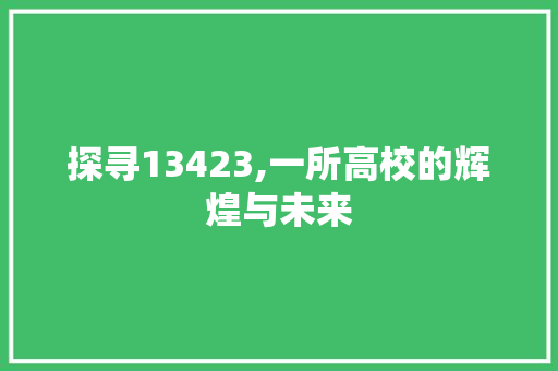 探寻13423,一所高校的辉煌与未来