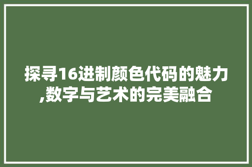 探寻16进制颜色代码的魅力,数字与艺术的完美融合