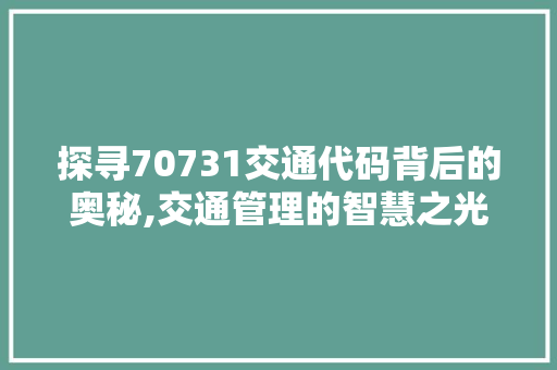 探寻70731交通代码背后的奥秘,交通管理的智慧之光