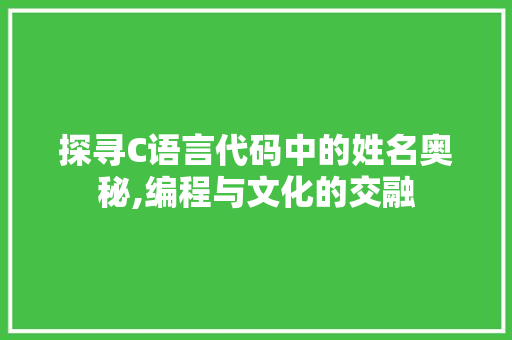 探寻C语言代码中的姓名奥秘,编程与文化的交融