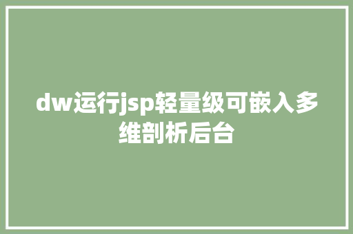 dw运行jsp轻量级可嵌入多维剖析后台