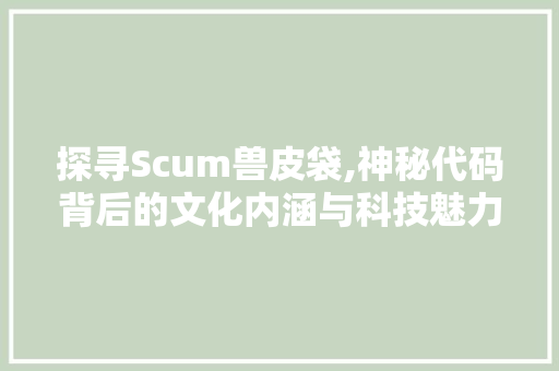 探寻Scum兽皮袋,神秘代码背后的文化内涵与科技魅力 RESTful API