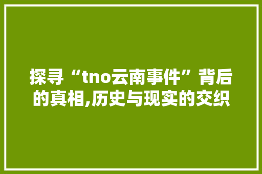 探寻“tno云南事件”背后的真相,历史与现实的交织