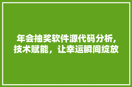 年会抽奖软件源代码分析,技术赋能，让幸运瞬间绽放