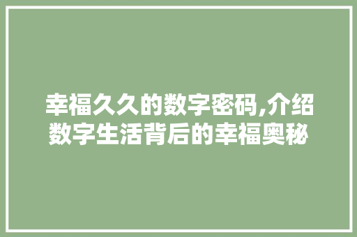 幸福久久的数字密码,介绍数字生活背后的幸福奥秘