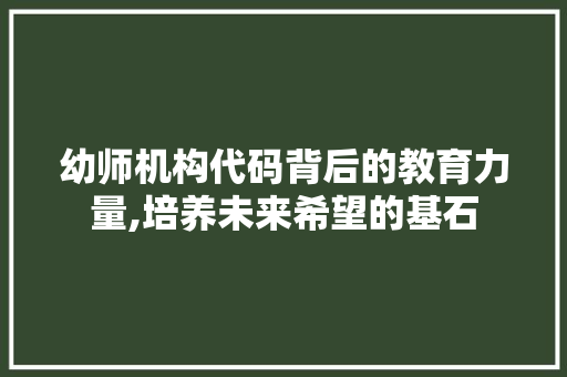 幼师机构代码背后的教育力量,培养未来希望的基石