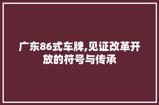 广东86式车牌,见证改革开放的符号与传承