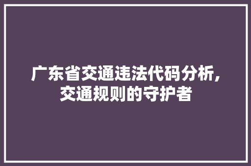 广东省交通违法代码分析,交通规则的守护者