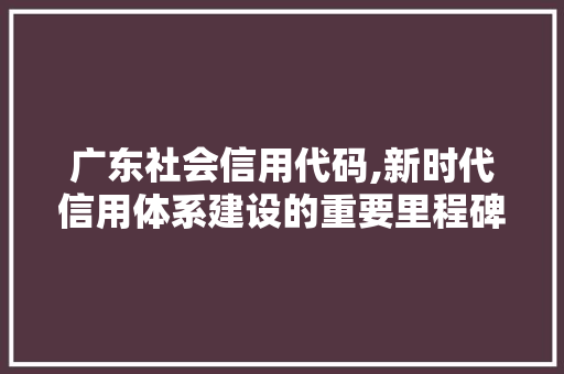 广东社会信用代码,新时代信用体系建设的重要里程碑