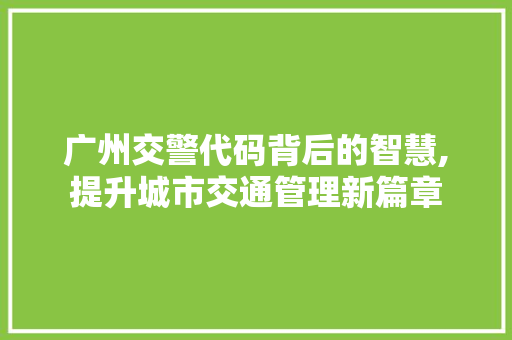 广州交警代码背后的智慧,提升城市交通管理新篇章