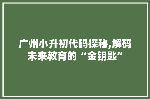 广州小升初代码探秘,解码未来教育的“金钥匙”