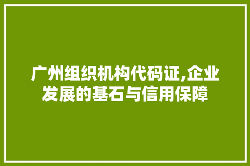 广州组织机构代码证,企业发展的基石与信用保障