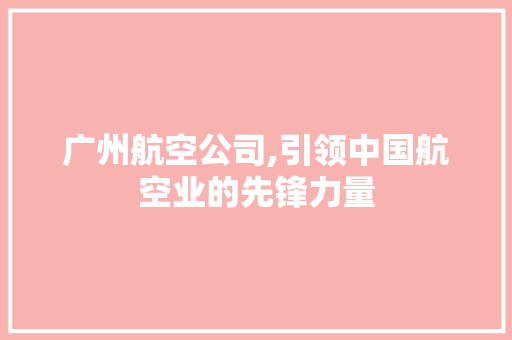 广州航空公司,引领中国航空业的先锋力量