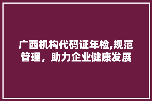 广西机构代码证年检,规范管理，助力企业健康发展