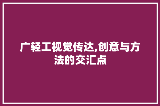 广轻工视觉传达,创意与方法的交汇点