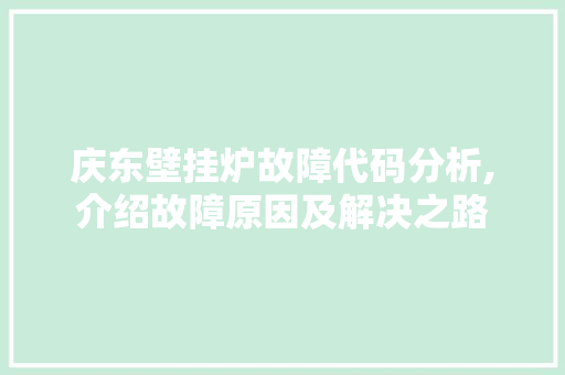 庆东壁挂炉故障代码分析,介绍故障原因及解决之路