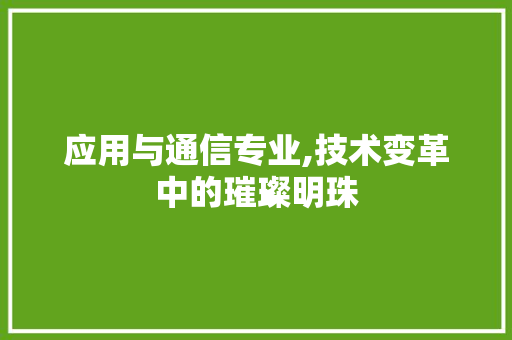 应用与通信专业,技术变革中的璀璨明珠