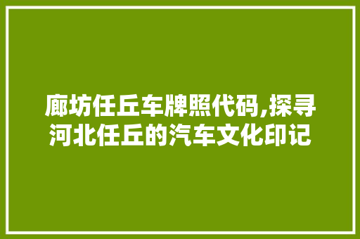 廊坊任丘车牌照代码,探寻河北任丘的汽车文化印记 Docker