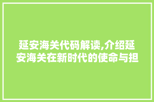 延安海关代码解读,介绍延安海关在新时代的使命与担当