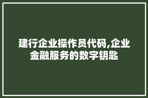 建行企业操作员代码,企业金融服务的数字钥匙