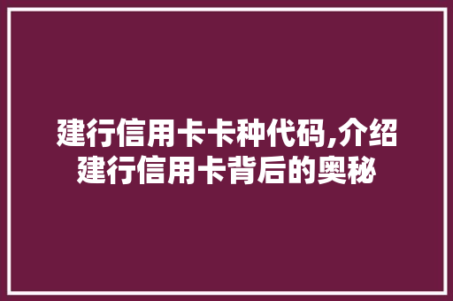 建行信用卡卡种代码,介绍建行信用卡背后的奥秘