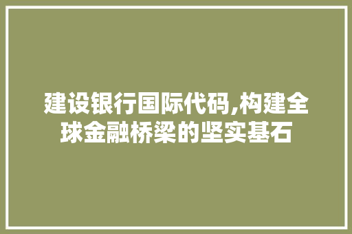 建设银行国际代码,构建全球金融桥梁的坚实基石