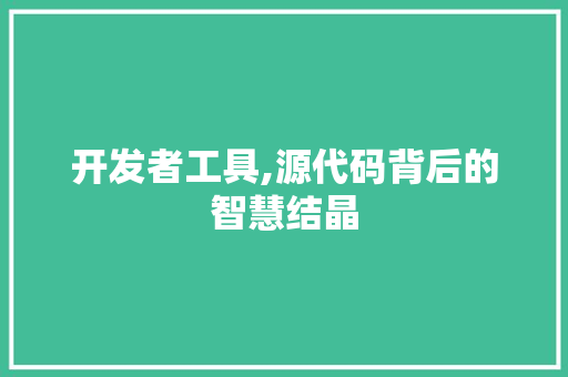 开发者工具,源代码背后的智慧结晶