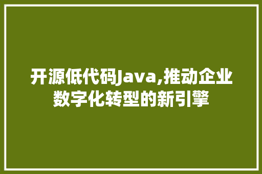 开源低代码Java,推动企业数字化转型的新引擎