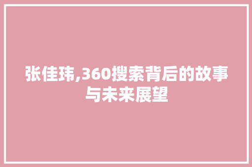 张佳玮,360搜索背后的故事与未来展望