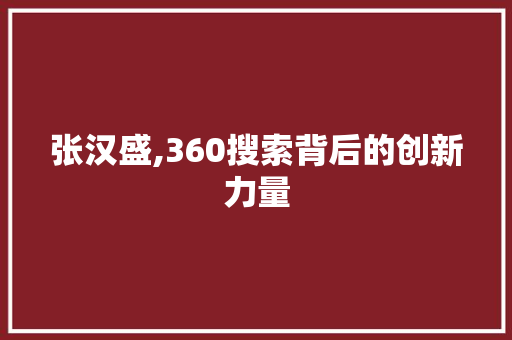 张汉盛,360搜索背后的创新力量