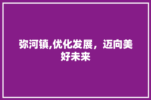 弥河镇,优化发展，迈向美好未来