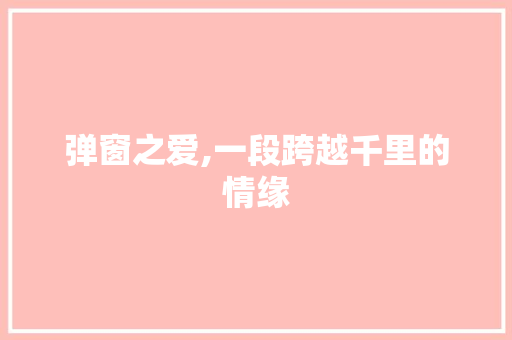 弹窗之爱,一段跨越千里的情缘