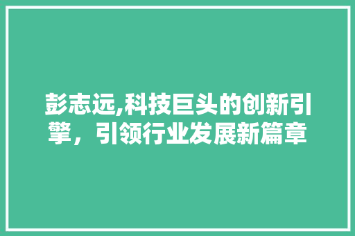 彭志远,科技巨头的创新引擎，引领行业发展新篇章