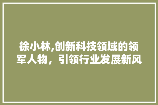 徐小林,创新科技领域的领军人物，引领行业发展新风向