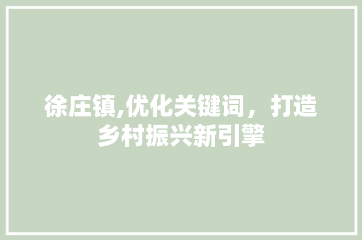 徐庄镇,优化关键词，打造乡村振兴新引擎